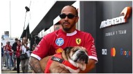 La triste despedida de Lewis Hamilton a su perro Roscoe: "Tuve que tomar la decisión más difícil de mi vida"