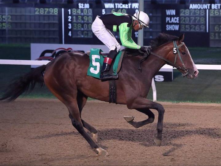 TAYLOR: Bynoe in battle for Assiniboia Downs jockey title