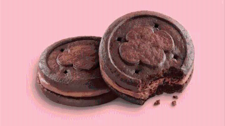 Girl Scouts unveil new Exploremores cookies