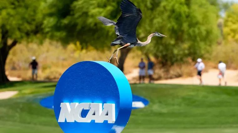College football transfer portal window, explained: What to know about new rules eliminating spring period