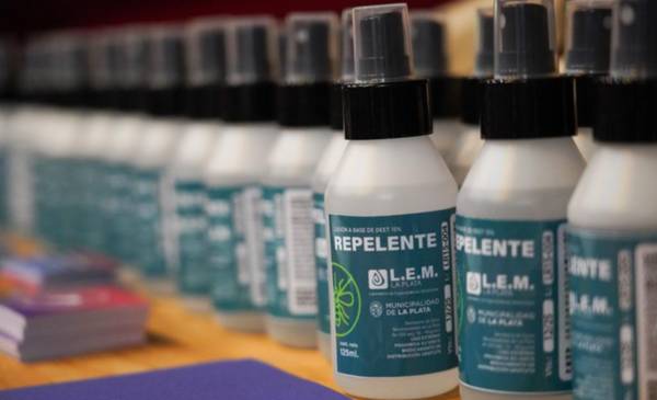 Verano y dengue: tomar los cuidados necesarios y “no volverse loco”
