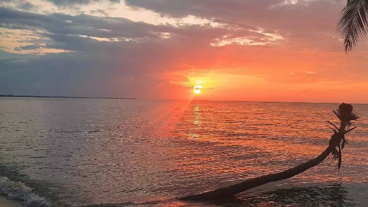 Mérida con más del 60% de Ocupación: Un Paraíso Abierto para la Recta Final de las Vacaciones