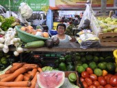 Día de la Agricultura: ¿de dónde vienen las frutas y verduras que comen los meridanos? ¿cuáles son los productos más frágiles?