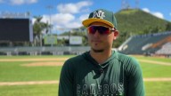Liga Arco Mexicana del Pacífico