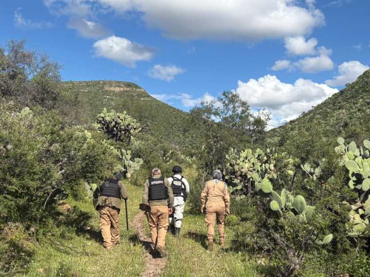 Realizan autoridades estatales búsqueda de personas en vida y forense en El Fuerte y Malpaso