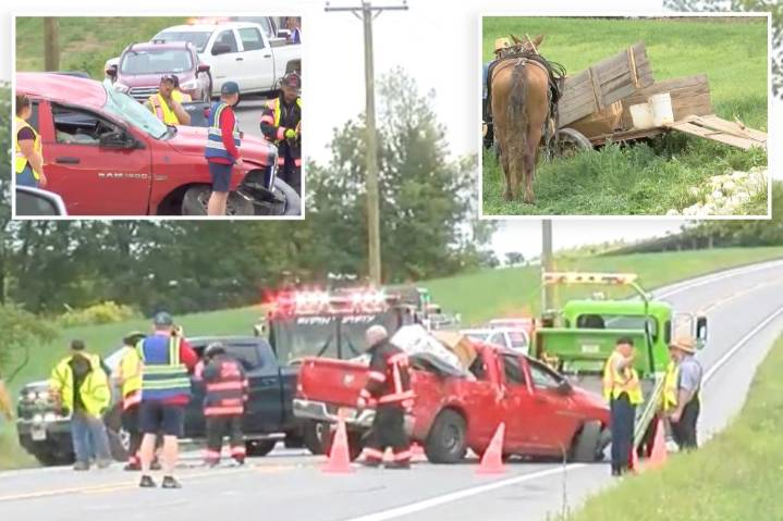 Pickup truck slams into Amish horse-drawn buggy in upstate NY, killing horse and sending 6