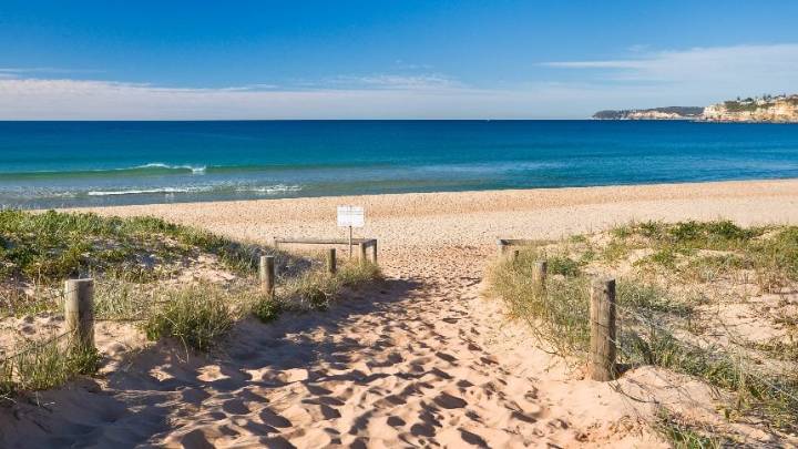 Surfista muere en trágico ataque de tiburón en Australia