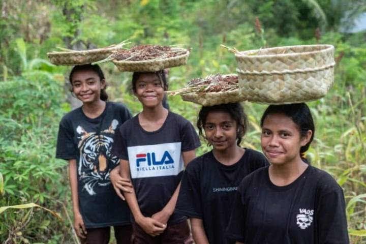 Grassroots community seeds sorghum in eastern Indonesia to adapt to climate change
