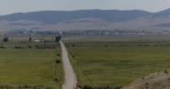 Grim smiles: The enduring mystery of cattle mutilations in Montana