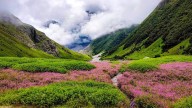'Rich culture, amazing people': Aussie traveller calls out negativity bias against India