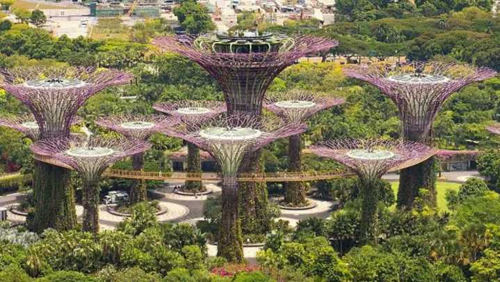 La obsesión de Singapur por la sombra que la convierte en un modelo en el mundo para combatir el calor
