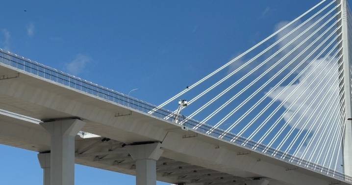 Man safe after climbing up cable of New Harbor Bridge Wednesday afternoon