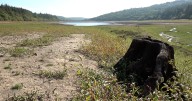New measures to 'protect water supply' in Yorkshire as drought continues