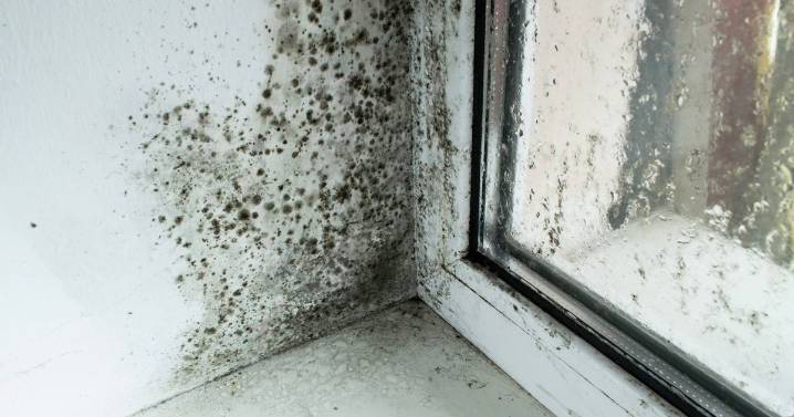 Banish mould from around windows for good using ingredient you already own