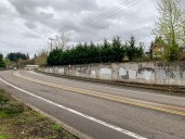 Volunteers sought for Salmon Creek mural project Updated 34 mins ago