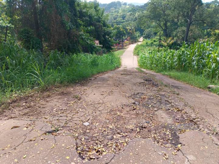 Voz comunitaria | Caminar es "ley de vida" para poder subsistir en el caserío El Limón (+Video)