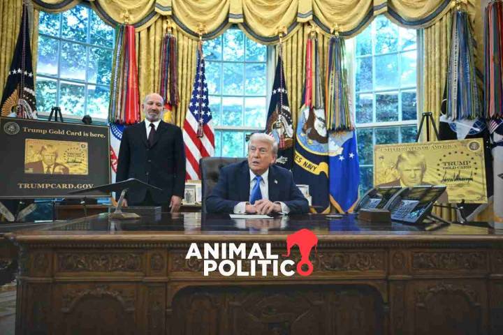 Trump aumenta precio de visa a trabajadores especializados y crea tarjeta "dorada" de residencia