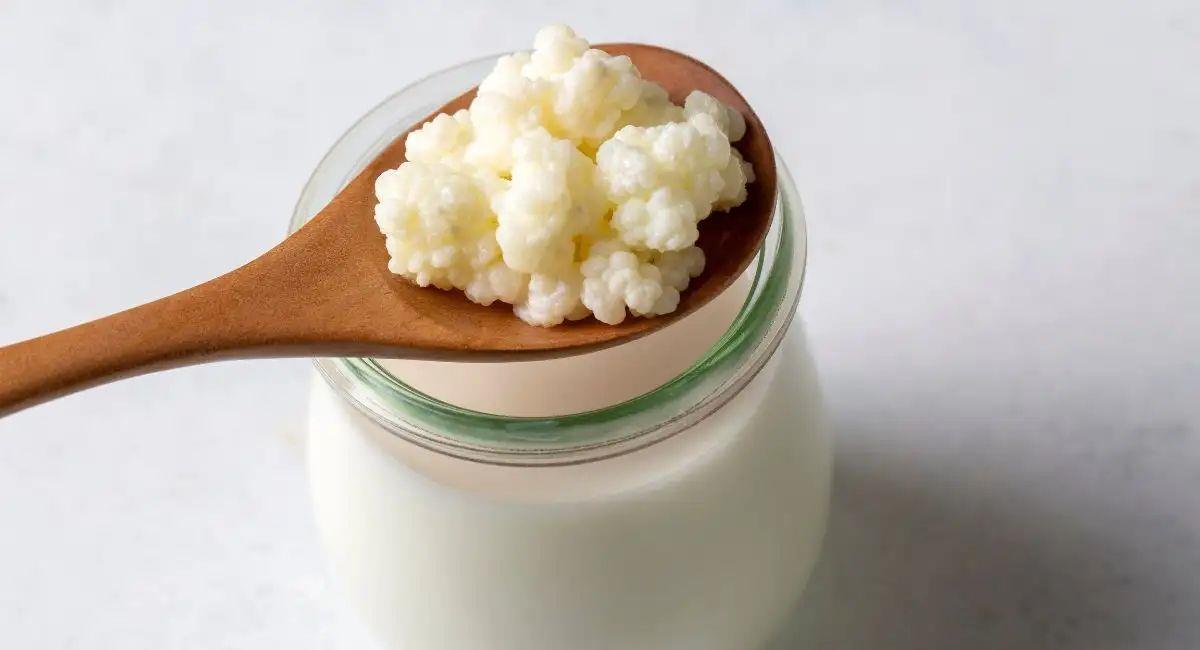 ¿Qué son las bebidas Kéfir, kombucha o yogur? tres recetas que podrás preparar durante el día