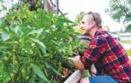 ‘It’s better for this to be a garden than a vacant lot’