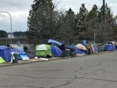 Dept. of Commerce: homelessness growth slows in Washington but numbers remain high