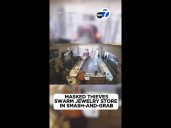 88-year-old jewelry store owner assaulted during brazen smash