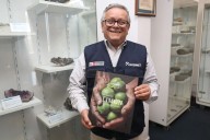 ¿Por qué el limón peruano es único en el mundo? El Ingemmet desentraña sus misterios