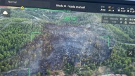 El incendio forestal de Oliva, estabilizado