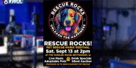 Music festival to benefit King’s Harvest Pet Rescue