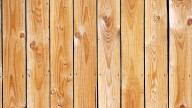 Miss Manners: Will it anger our neighbors if we put a new fence in and don’t tell them?