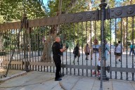 Hallan nuevas aves muertas en el Parque de María Luisa de Sevilla al día siguiente de reabrir