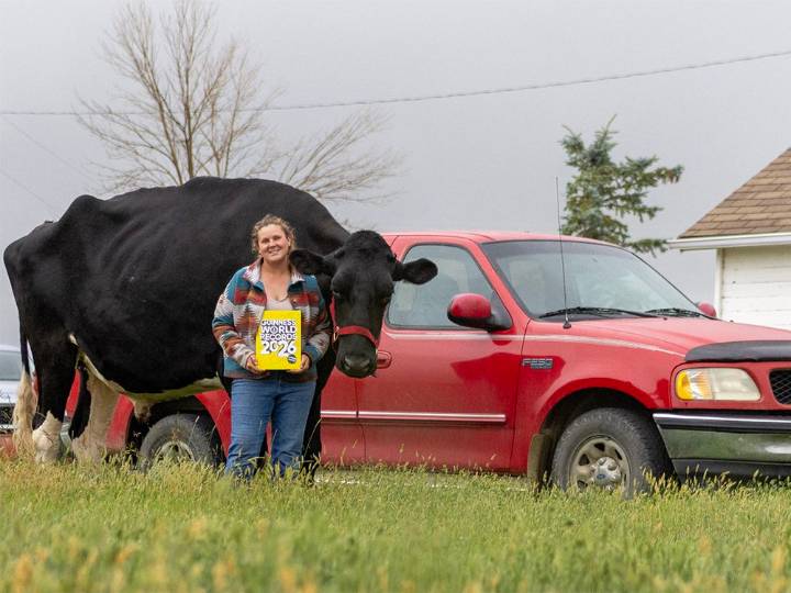 Meet Beef, Alberta's record-setting steer, who's 1.95 metres tall