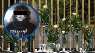 Asesinato en CCH Sur: ¿Qué es la Red Pill y por qué la relacionan con Lex Ashton?