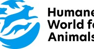 Humane World for Animals makes New York Fashion Week debut with Christian Siriano in cruelty