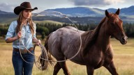 'Heartland' Secures Netflix Extension; Release Dates For Season 17 and 18 Set