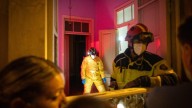 Rescate de los animales abandonados en una vivienda de Santa Cruz de Tenerife