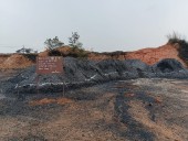 Govt orders fresh inspection after 4000MT of coal can’t be found