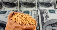 Señales mixtas: los dólares que esperan Milei y Caputo de un sector clave