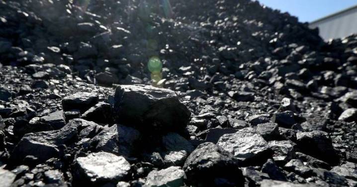 'Call to arms': peak body joins coal royalties fight