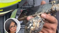 Explosión en Iztapalapa: Daniela está desaparecida; su celular resistió el fuego y alertó a su famil