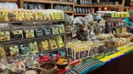 Empresarios poblanos buscan posicionar productos durante misiones a EU y Europa