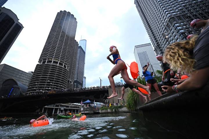 Swimmers Return To Chicago River For 1st Time In A Century, Marking Waterway’s Dramatic Transformation