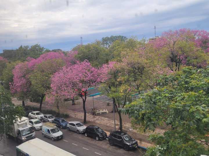 Sábado fresco en Resistencia: ¿llueve mañana?