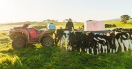 Cómo la industria lechera está apuntando a una agricultura más sustentable y baja en emisiones