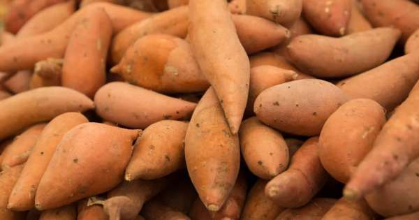 La verdura que tiene dos veces más potasio que la banana y es ideal para cuidar la salud de los riñones