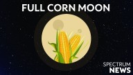 September's 'Corn Moon' rises this week