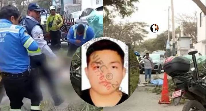 ¡Tragedia en Surco! Joven jardinero murió mientras podaba árbol en zona con cables eléctricos Joaquín Danny Ortiz Llacua, de 23 años, perdió la vida en plena vía pública del jirón Sagitario. Vecinos a
