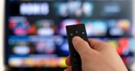 World's biggest illegal sports streaming site Streameast shut down by police