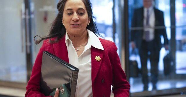 Anand says Canada stands with Poland and Ukraine after Russian drone incursions