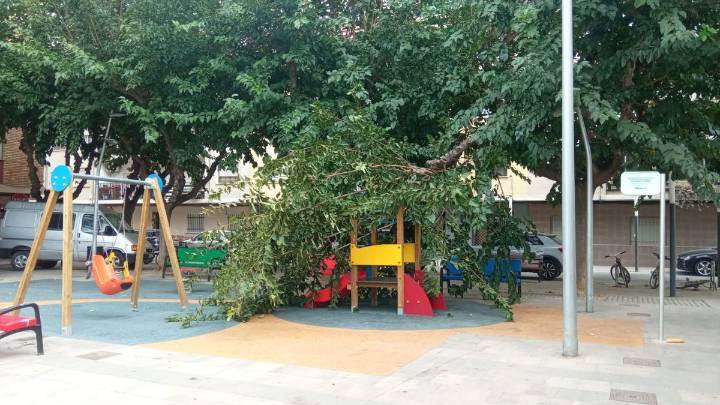 Cae una rama sobre un parque infantil de Massanassa