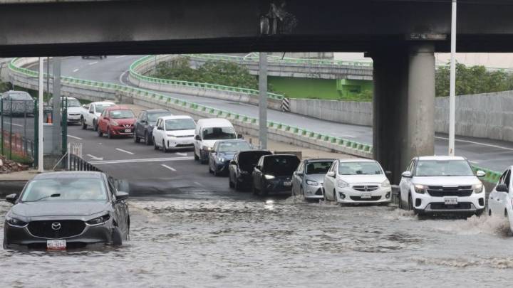 Lluvias CDMX: 22 encharcamientos y 16 árboles caídos